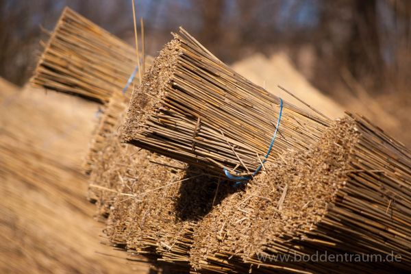 img-boddentraum-04C2C56BF5-E259-0D73-FF15-E1B10A983915.jpg